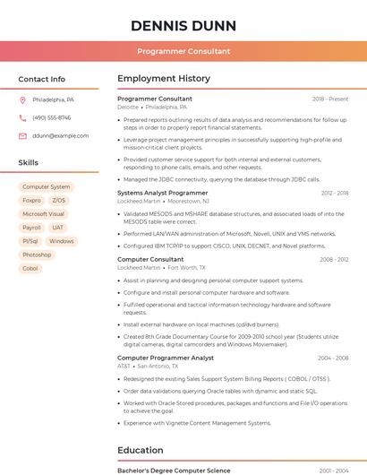 Programmer Consultant Resume