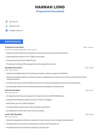 Programmer Consultant Resume