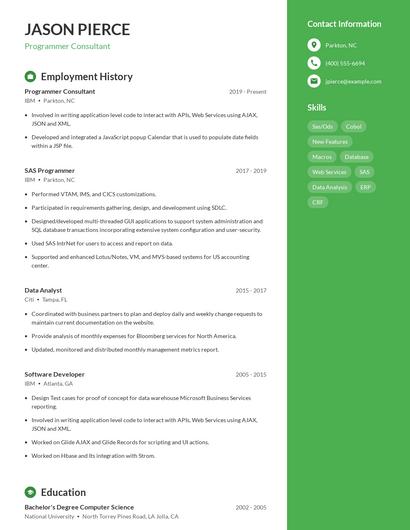 Programmer Consultant Resume