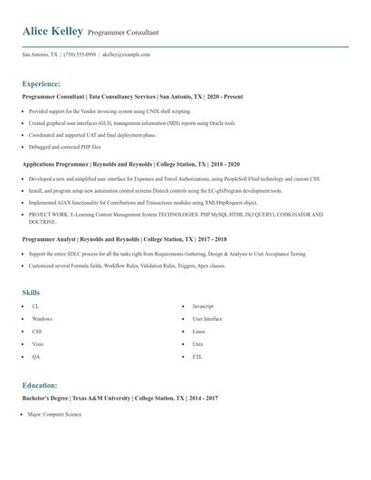 Programmer Consultant Resume