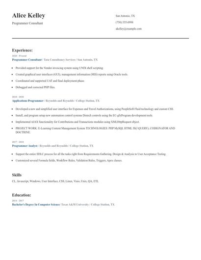 Programmer Consultant Resume