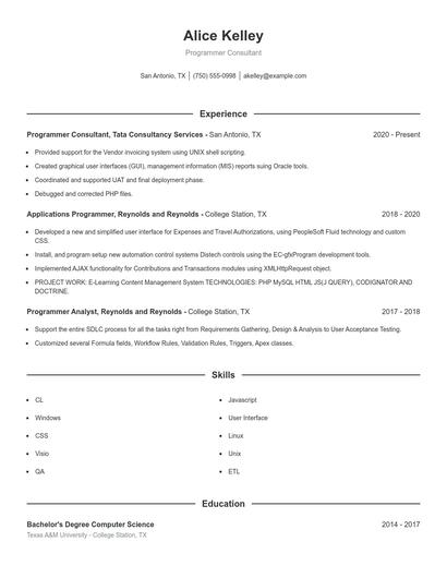 Programmer Consultant Resume