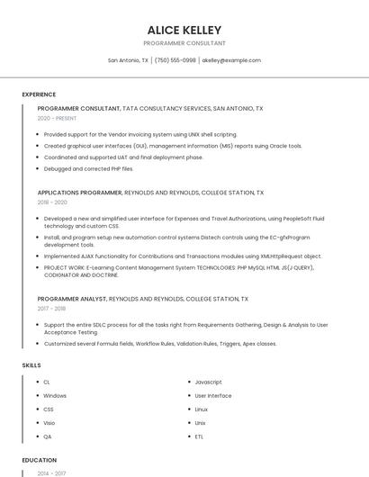 Programmer Consultant Resume