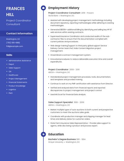 Project Coordinator Consultant Resume
