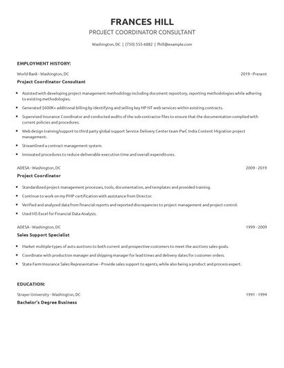 Project Coordinator Consultant Resume