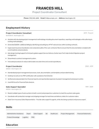 Project Coordinator Consultant Resume