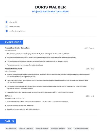 Project Coordinator Consultant Resume