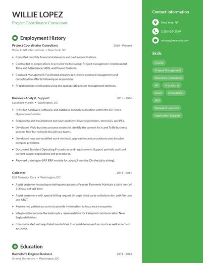 Project Coordinator Consultant Resume
