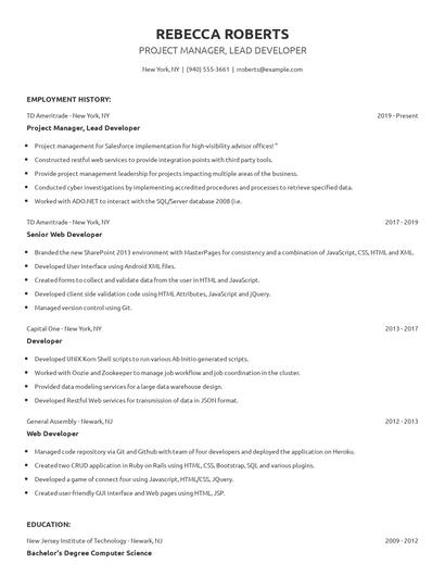 Project Manager, Lead Developer Resume