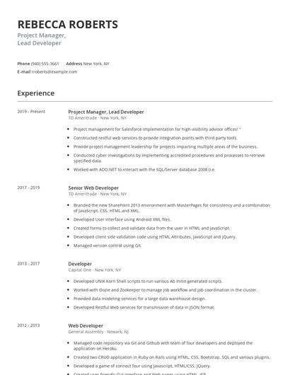 Project Manager, Lead Developer Resume