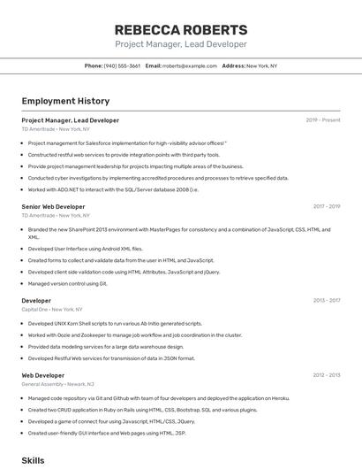 Project Manager, Lead Developer Resume