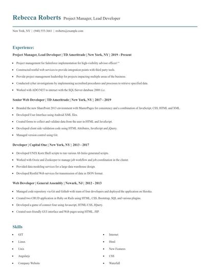 Project Manager, Lead Developer Resume