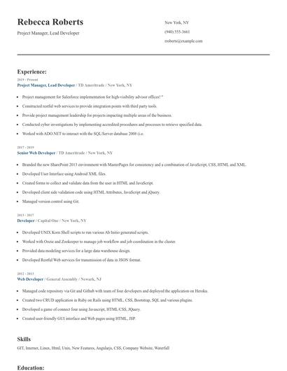 Project Manager, Lead Developer Resume