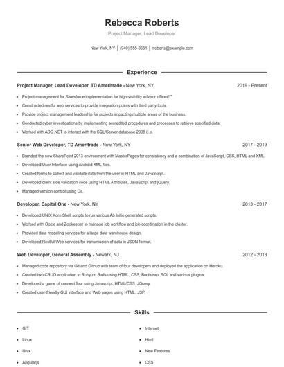 Project Manager, Lead Developer Resume