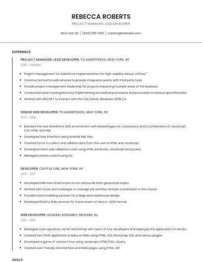 Project Manager, Lead Developer Resume