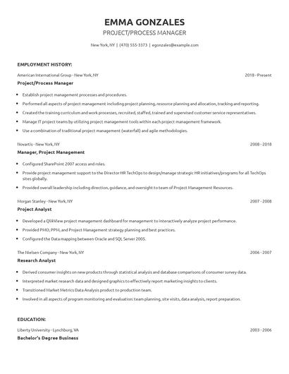 Project/Process Manager Resume