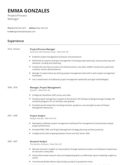 Project/Process Manager Resume