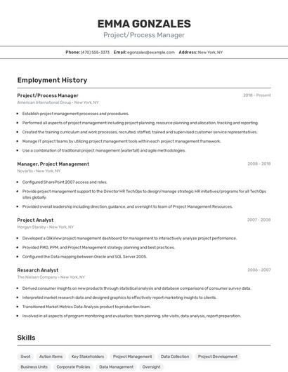Project/Process Manager Resume