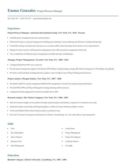 Project/Process Manager Resume