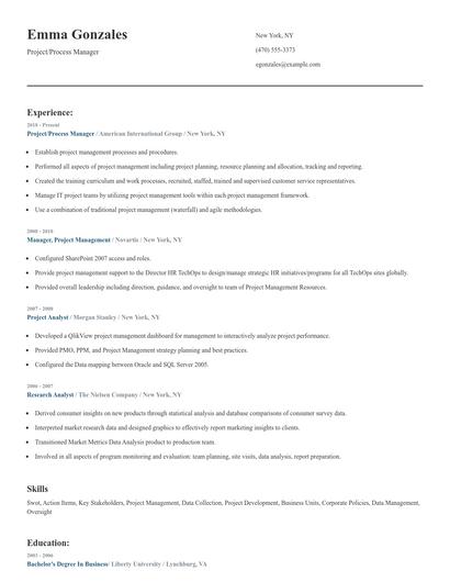 Project/Process Manager Resume