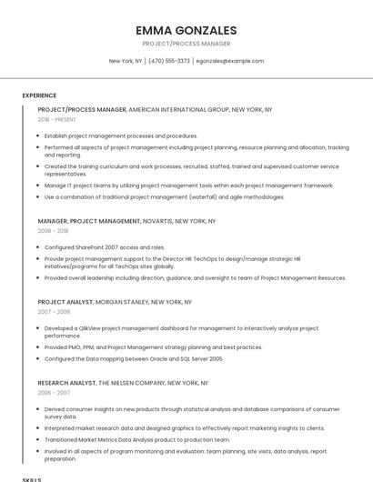 Project/Process Manager Resume