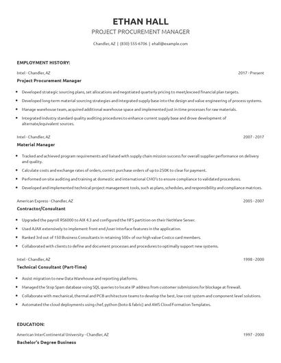 Project Procurement Manager Resume