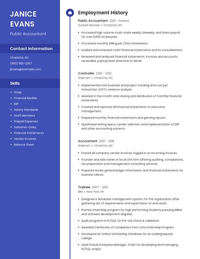 Public Accountant Resume