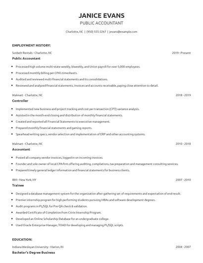 Public Accountant Resume