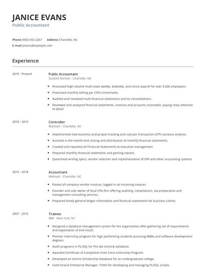 Public Accountant Resume