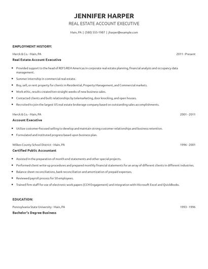 Real Estate Account Executive Resume