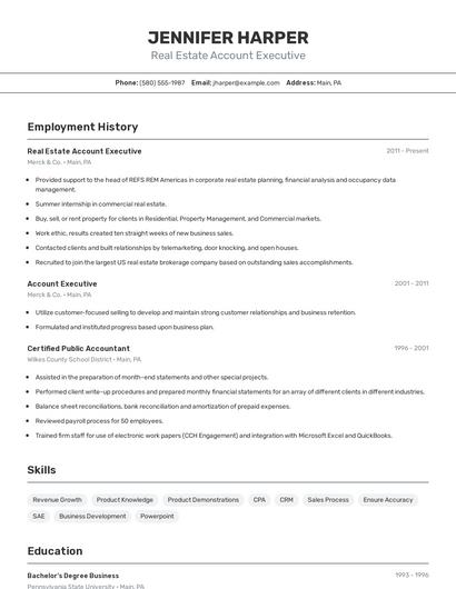Real Estate Account Executive Resume