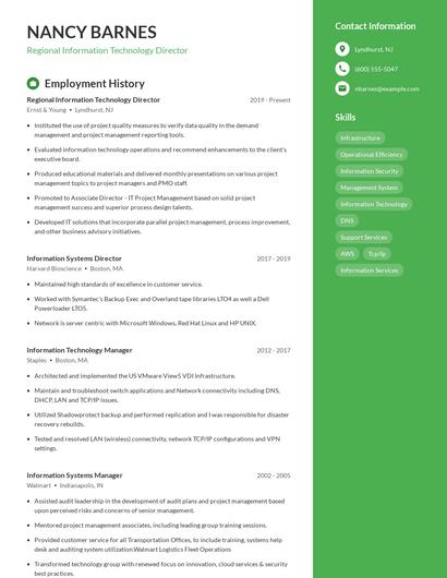 Regional Information Technology Director Resume