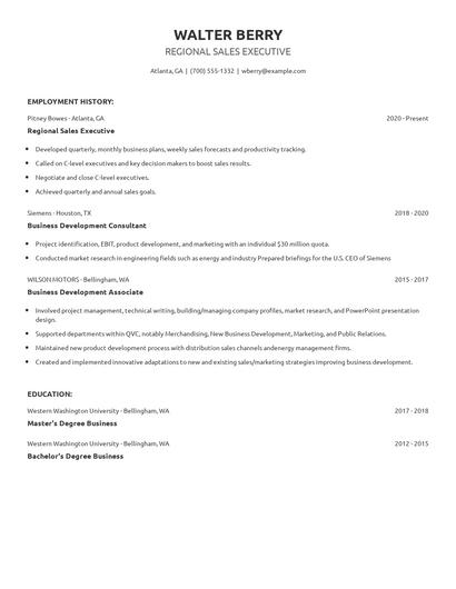 Regional Sales Executive Resume