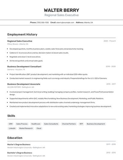 Regional Sales Executive Resume