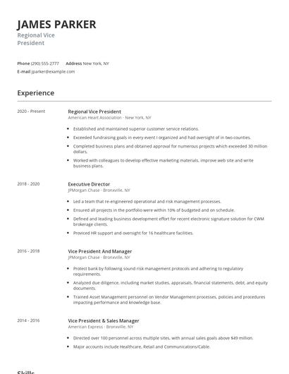 Regional Vice President Resume