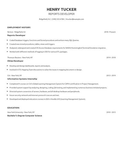 Reports Developer Resume