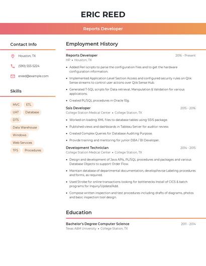 Reports Developer Resume
