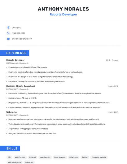 Reports Developer Resume