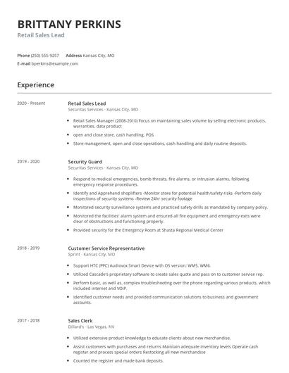 Retail Sales Lead Resume
