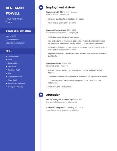 Revenue Audit Clerk Resume