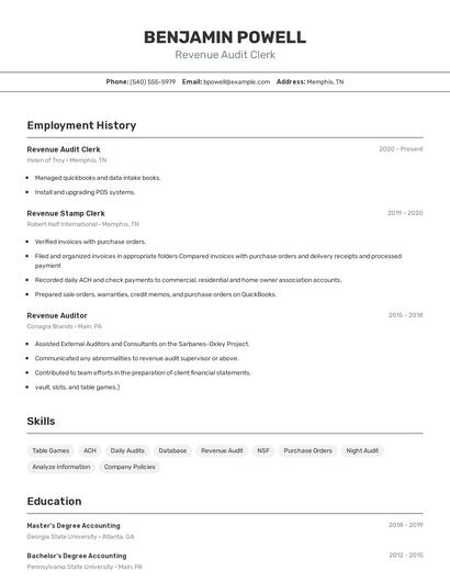 Revenue Audit Clerk Resume