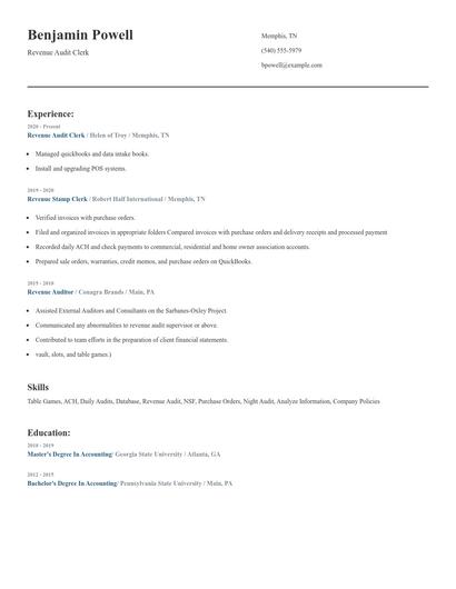 Revenue Audit Clerk Resume