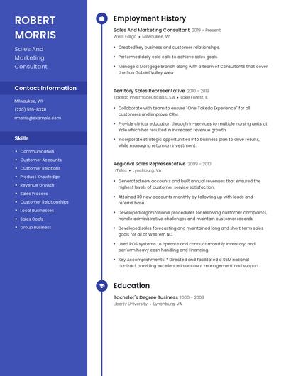 Sales And Marketing Consultant Resume