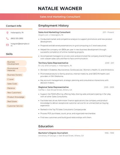 Sales And Marketing Consultant Resume