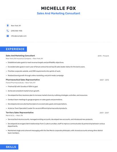 Sales And Marketing Consultant Resume