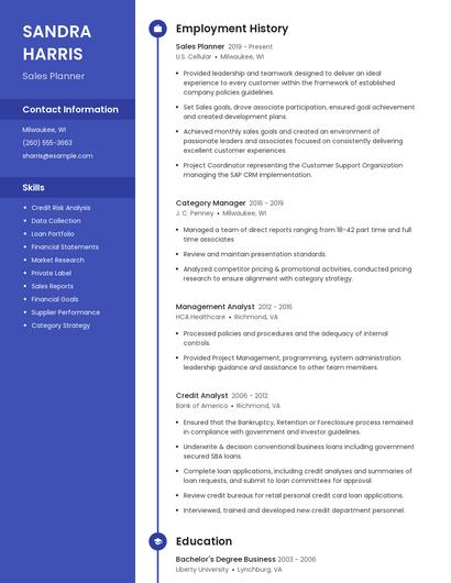 Sales Planner Resume