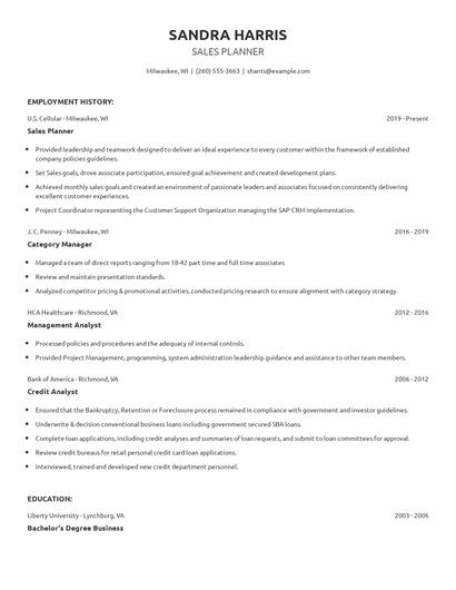 Sales Planner Resume