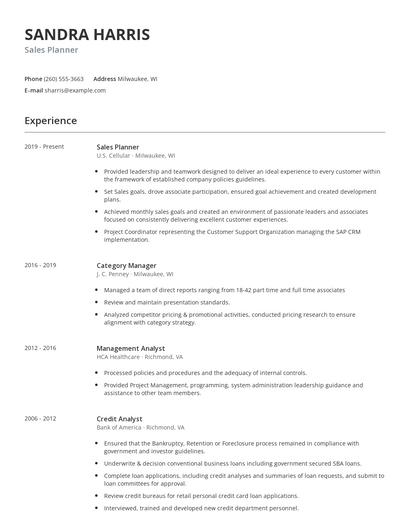 Sales Planner Resume