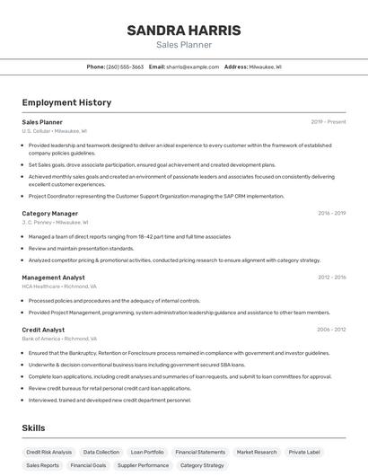 Sales Planner Resume