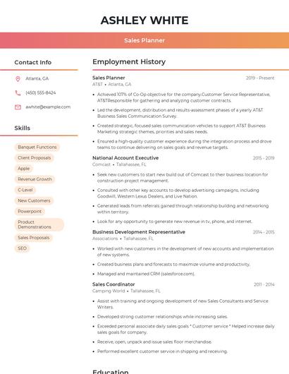Sales Planner Resume